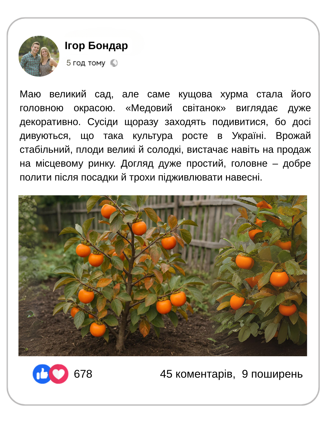 Заголовок